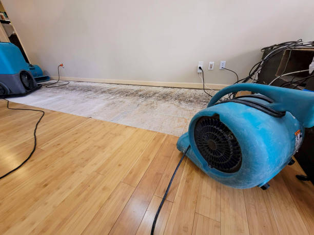 Professional Structural Drying technician working in Pemaquid, ME